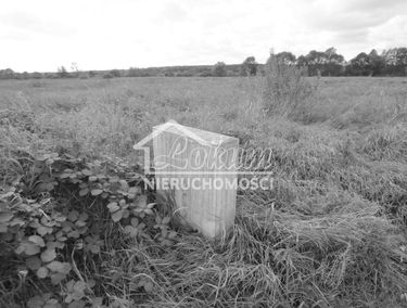 Zdjęcie 14904137