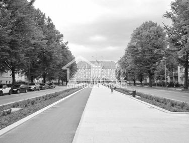 Zdjęcie 14904812