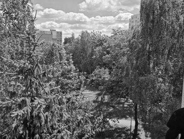 Zdjęcie 14905418