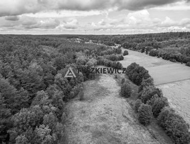 Zdjęcie 14906578