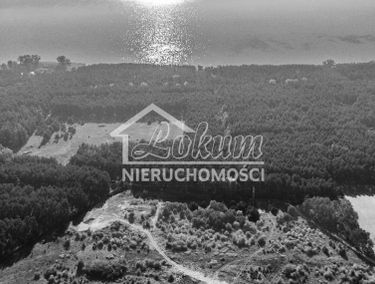 Zdjęcie 14906612