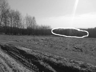 Zdjęcie 14906696