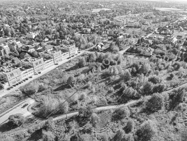 Zdjęcie 14906709