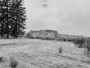Zdjęcie 14907887