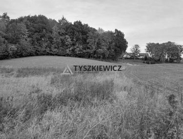 Zdjęcie 14908372