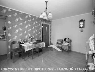 Zdjęcie 14908779