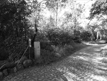 Zdjęcie 14909014