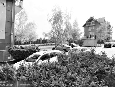 Zdjęcie 14909050
