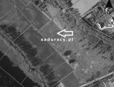 Zdjęcie 14910964