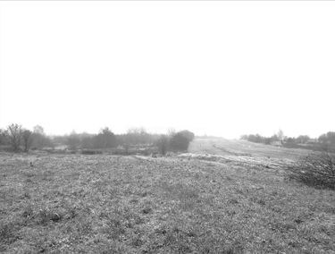 Zdjęcie 14912816