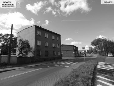 Zdjęcie 14912980