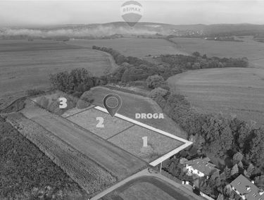 Zdjęcie 14912994