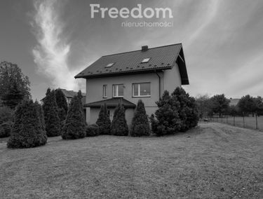 Zdjęcie 14913066