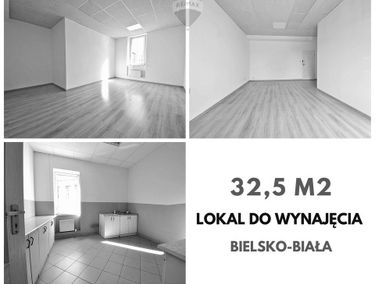 Zdjęcie 14913107