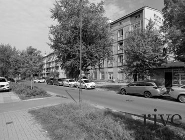 Zdjęcie 14913113