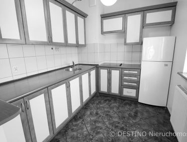 Zdjęcie 14913145