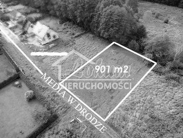 Zdjęcie 14913390