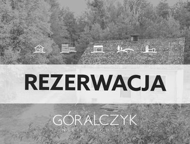 Zdjęcie 14913663