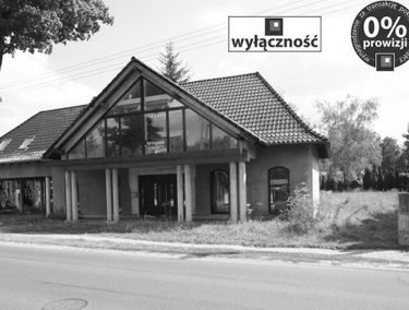 Zdjęcie 14913948