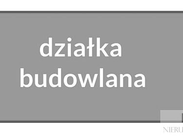 Zdjęcie 14914689