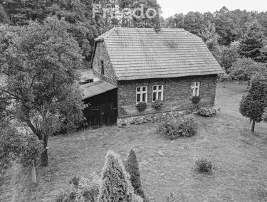 Zdjęcie 14914788