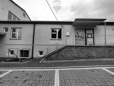 Zdjęcie 14914805