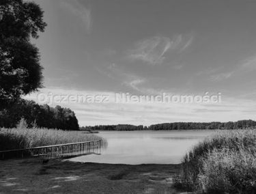 Zdjęcie 14915658