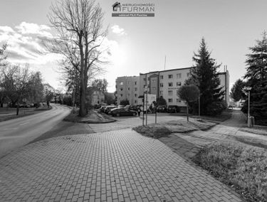 Zdjęcie 14916371