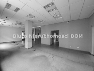 Zdjęcie 14916712