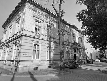 Zdjęcie 14917433