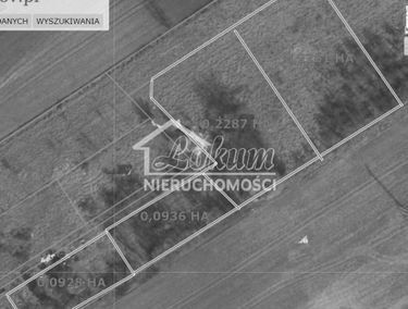 Zdjęcie 14917493