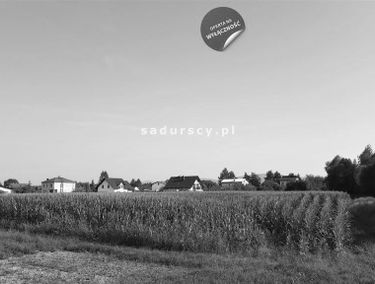 Zdjęcie 14917632