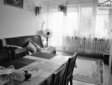 Zdjęcie 14918446