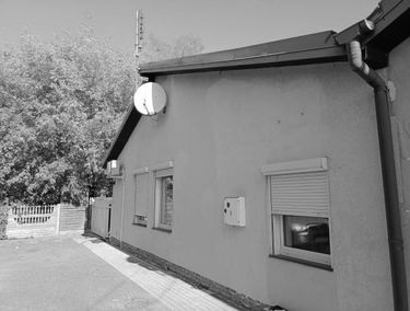 Zdjęcie 14918580