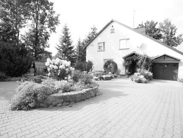 Zdjęcie 14922483