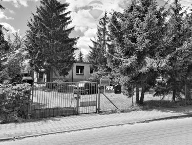 Zdjęcie 14923047
