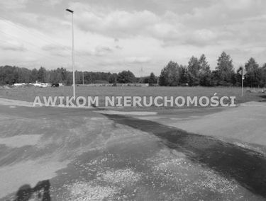 Zdjęcie 14923759