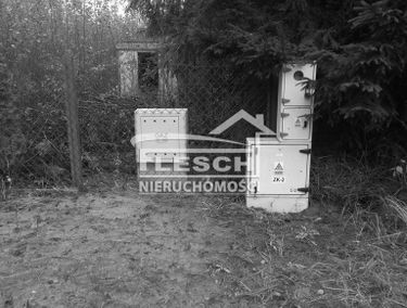 Zdjęcie 14923816