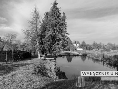 Zdjęcie 14923966