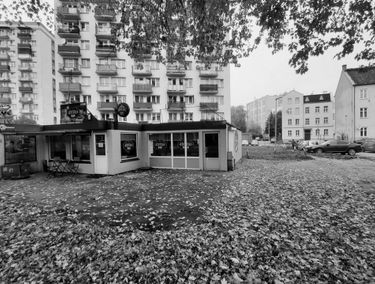 Zdjęcie 14924992