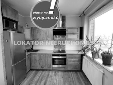 Zdjęcie 14925144