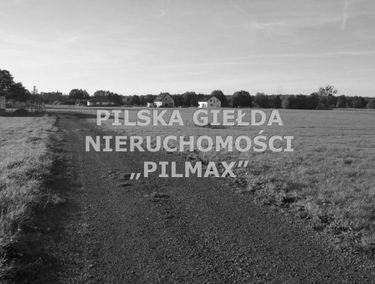 Zdjęcie 14925223