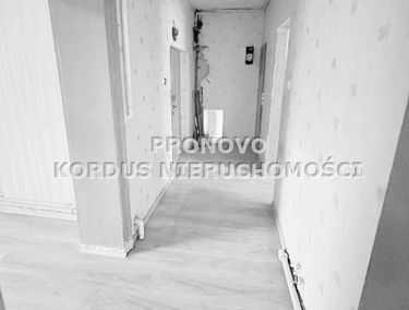 Zdjęcie 14925657