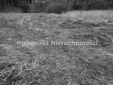 Zdjęcie 14925707
