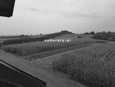 Zdjęcie 14926464