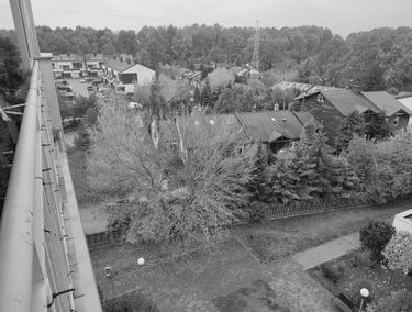Zdjęcie 14930572