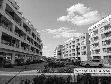 Zdjęcie 14930880