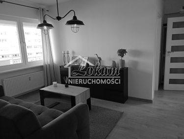 Zdjęcie 14930927