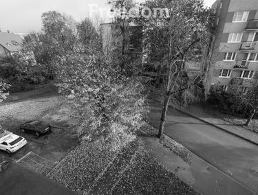 Zdjęcie 14930942