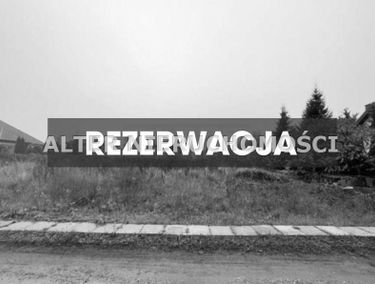 Zdjęcie 14931013